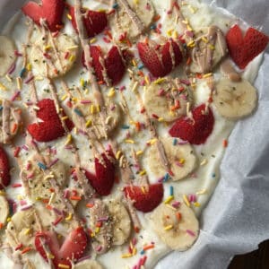 frozen yogurt fruit bark