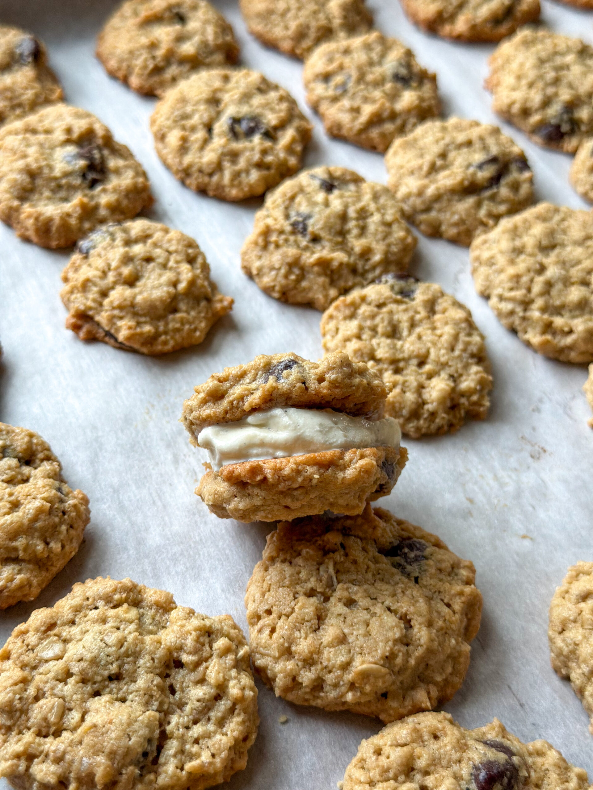 oatmeal chocolate chip cookies for kids