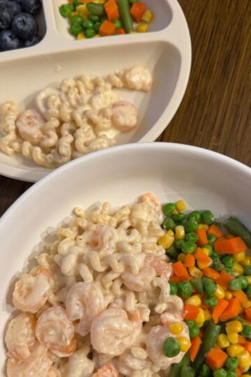 creamy shrimp pasta