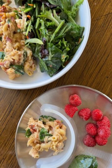 one-pot marry me chicken pasta