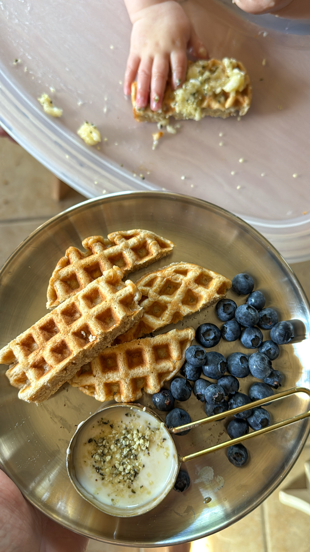 toddler plate with waffle dippers and yogurt