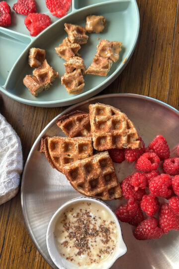 apple cinnamon oatmeal waffles for baby and toddler