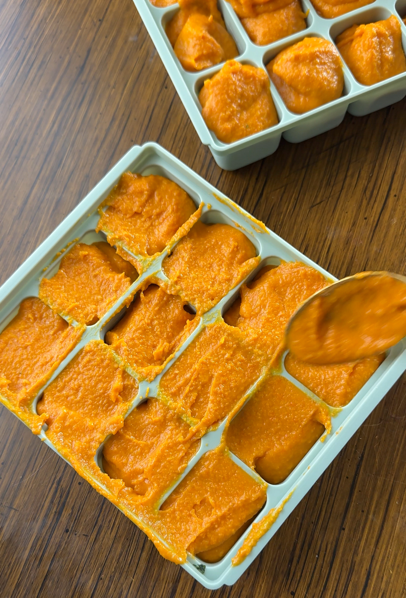 storing pasta sauce in silicone ice tray container