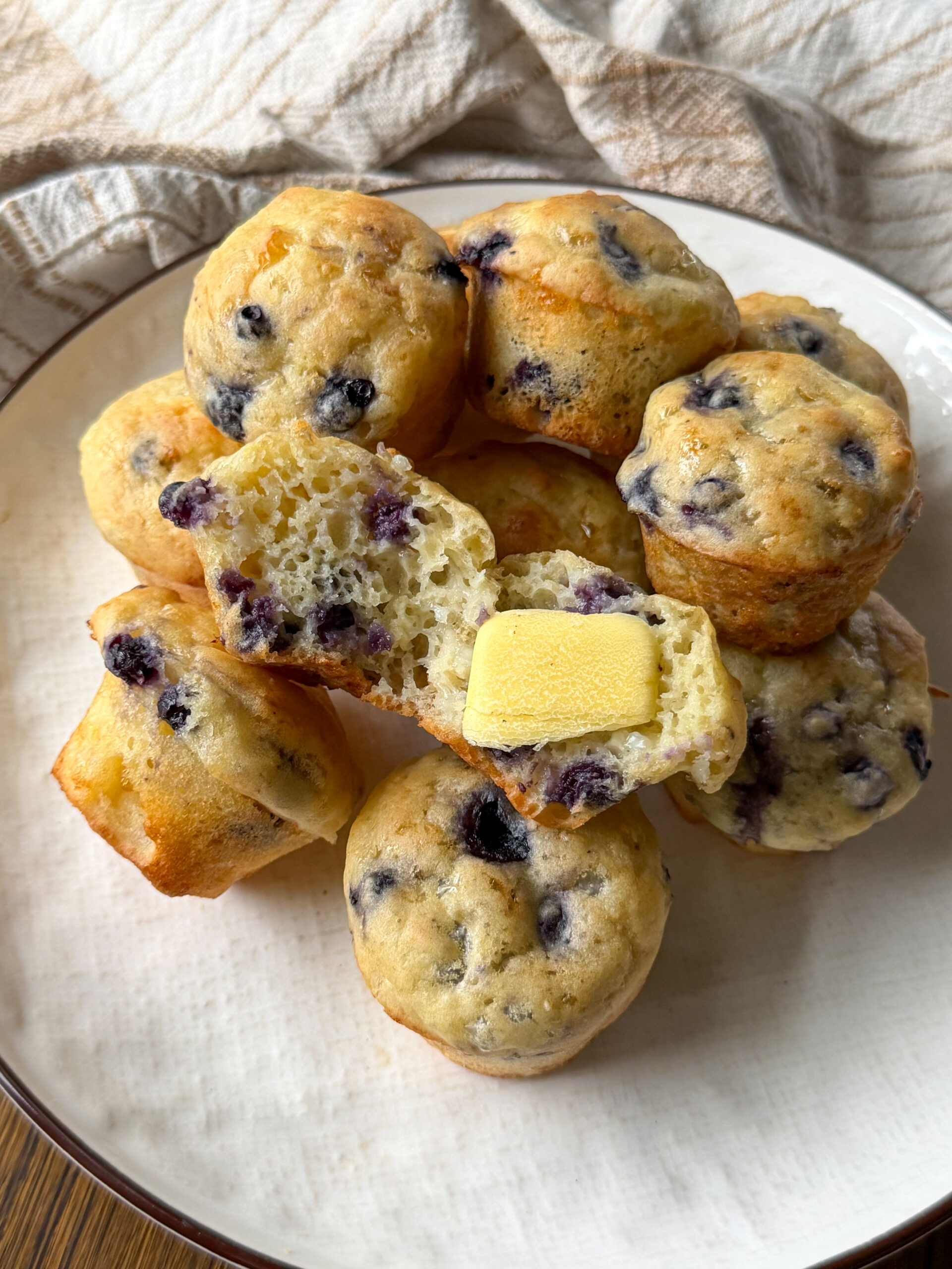 Blueberry Cottage Cheese Muffins for toddlers and kids (easy to make & high-protein)