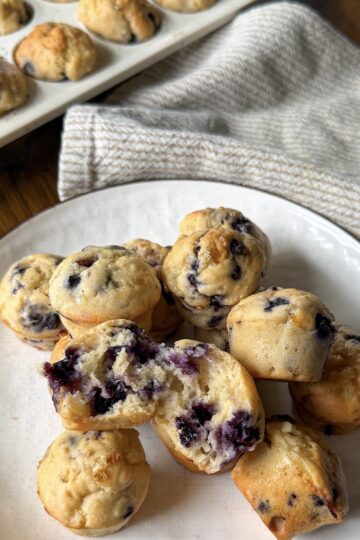 Blueberry Cottage Cheese Muffins for toddlers (easy to make & protein-packed)