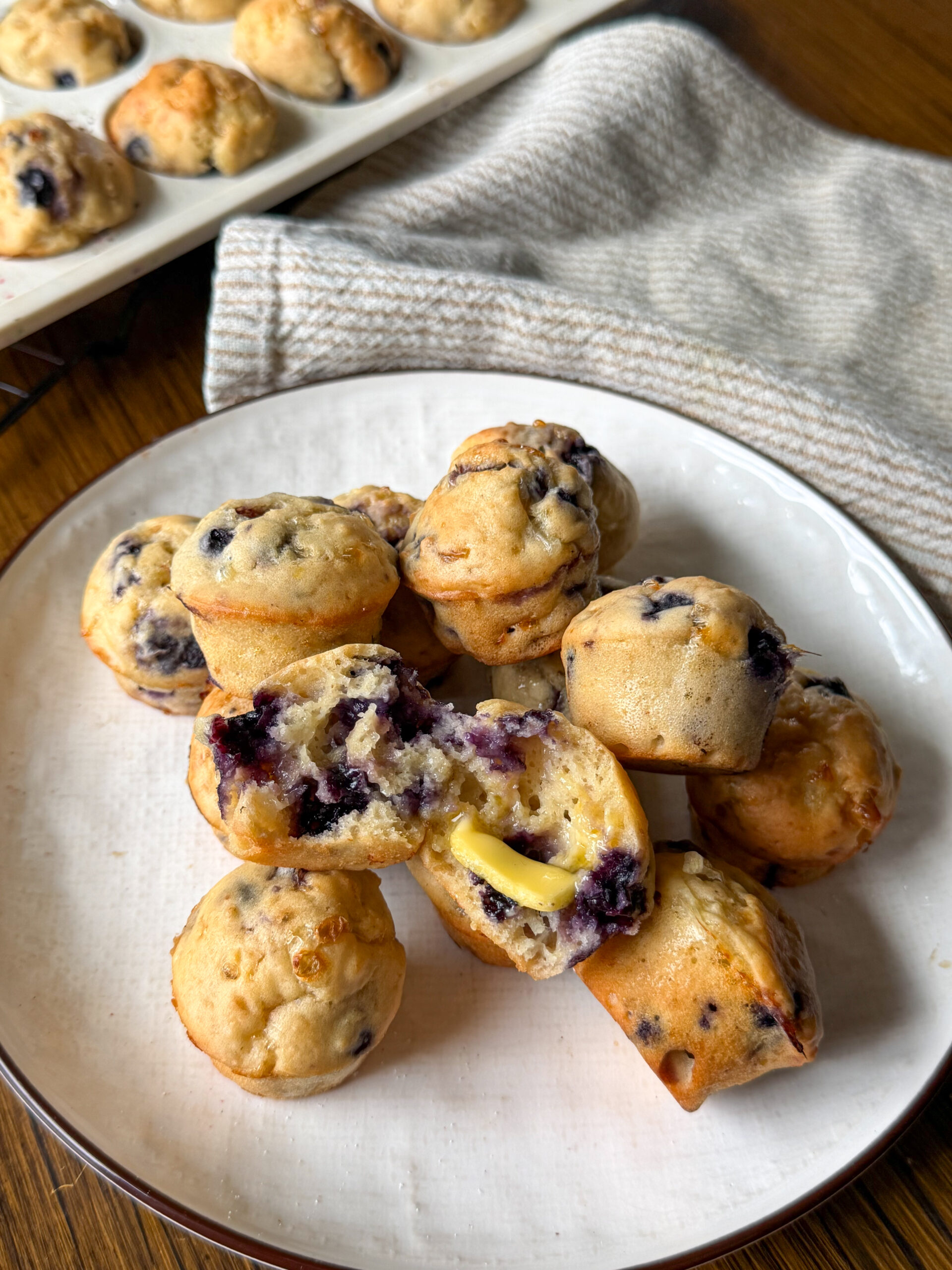 Blueberry Cottage Cheese Muffins for toddlers and kids (easy to make & protein-packed)