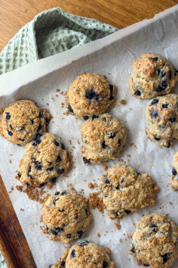 blueberry muffin tops for toddlers