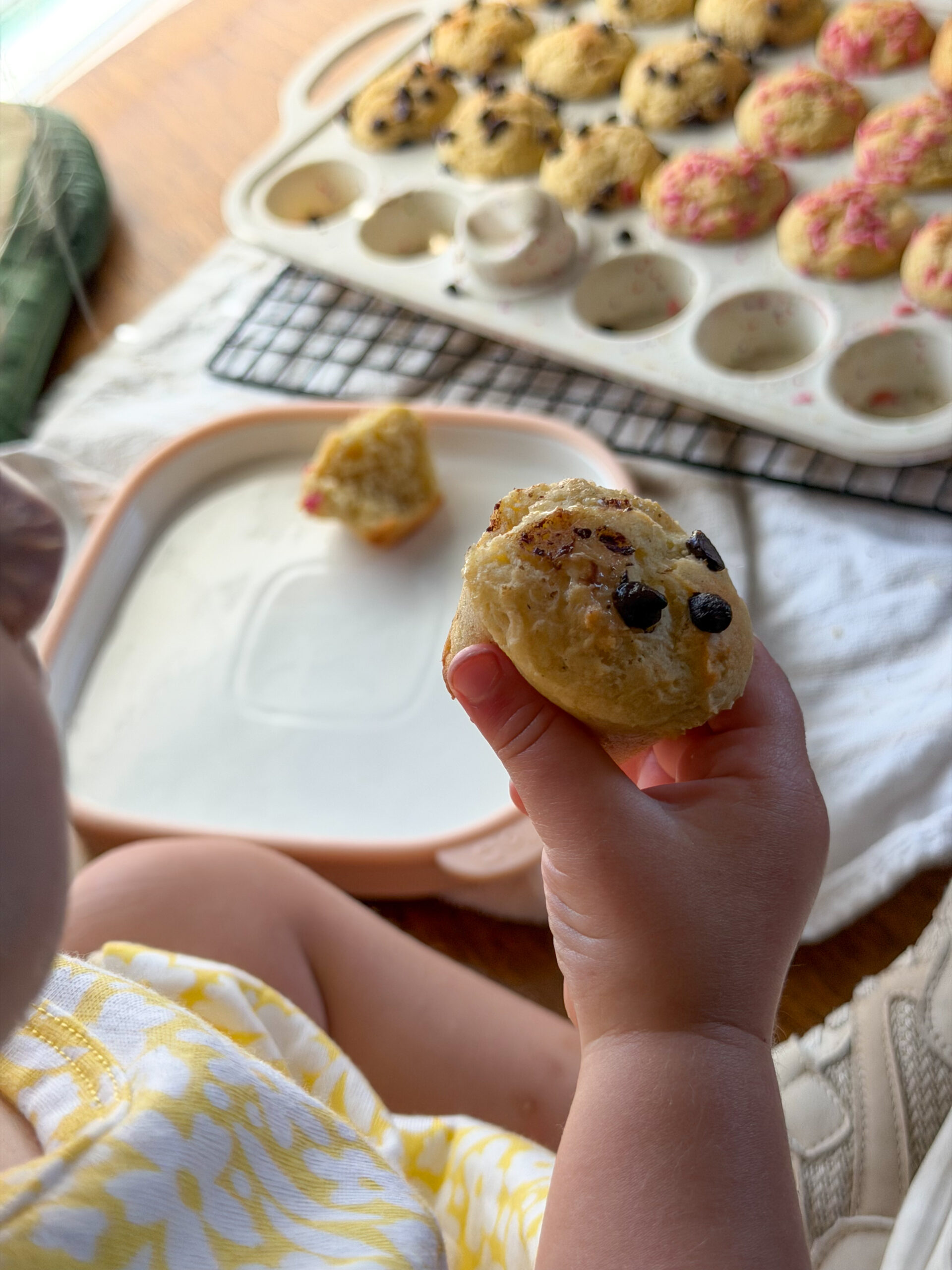 Greek Yogurt Mini Muffins for toddlers (healthy, better than Little Bites!)