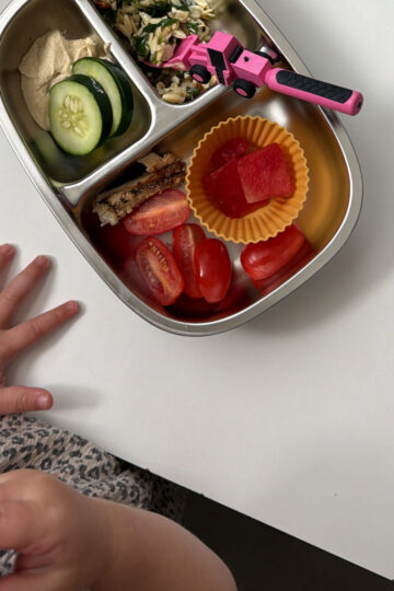 toddler daycare lunch ideas for busy parents, toddler daycare lunches