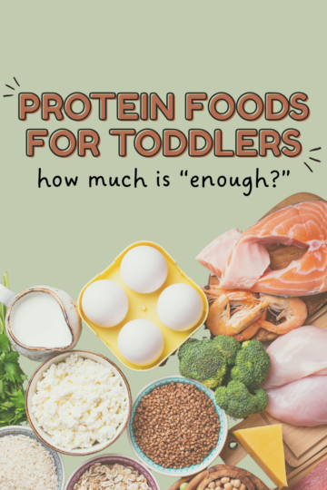 protein foods for toddlers